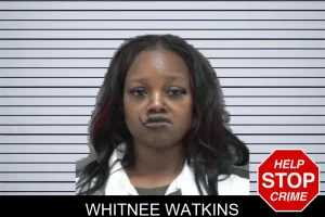 Whitnee Watkins mugshot