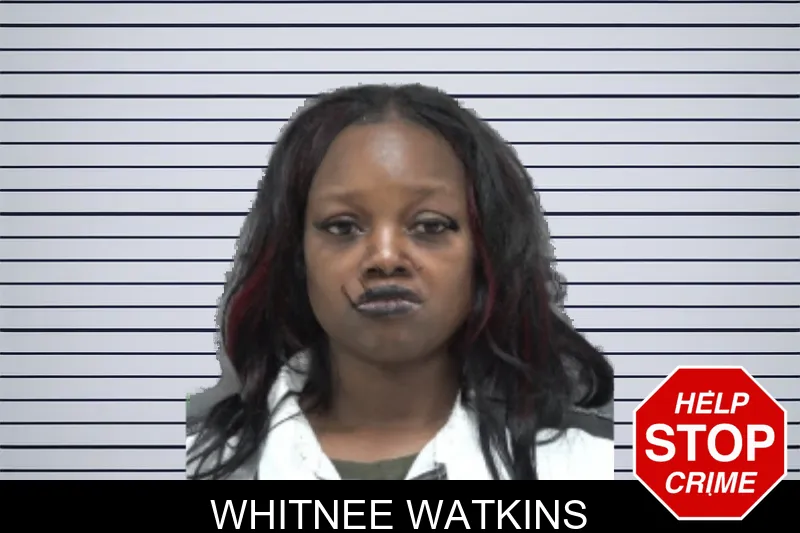 Whitnee Watkins mugshot
