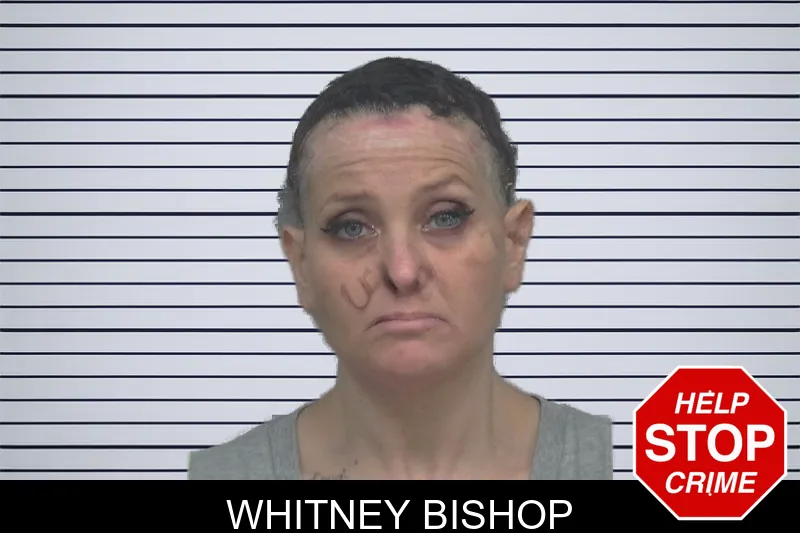 Whitney Bishop mugshot – Gwinnett County , Georgia Whitney Bishop mugshot