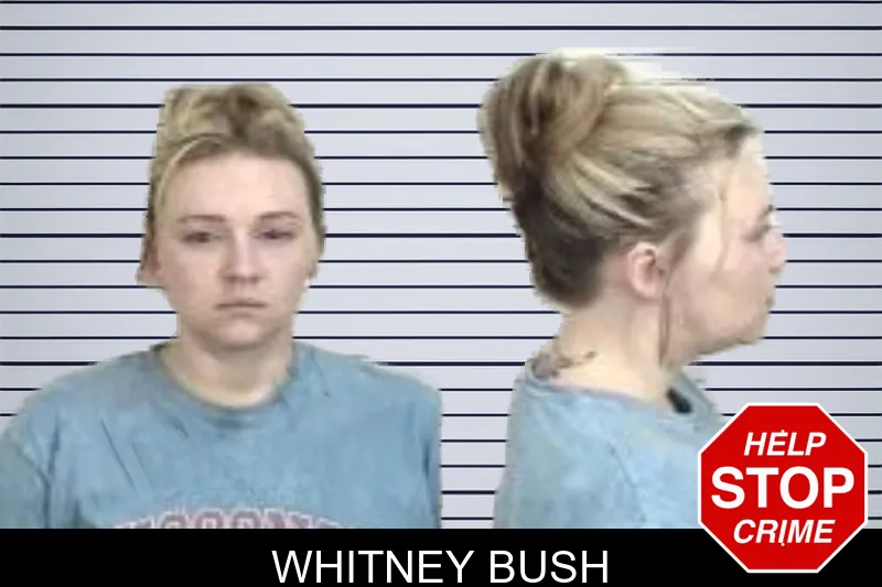 Whitney Bush mugshot – Camden County , Georgia Whitney Bush mugshot