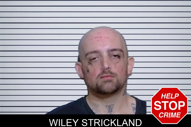 Wiley Strickland mugshot