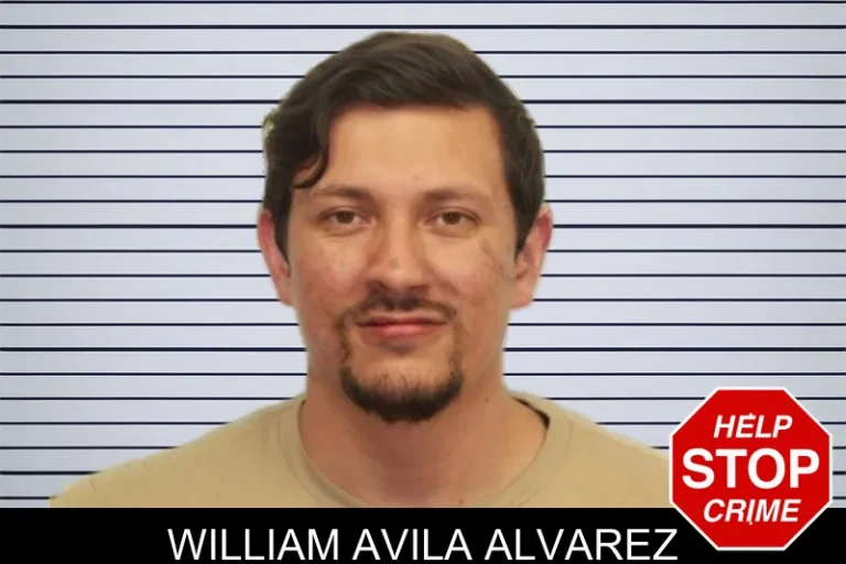William Avila Alvarez