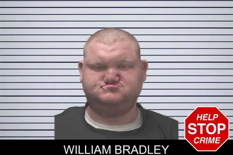 William Bradley