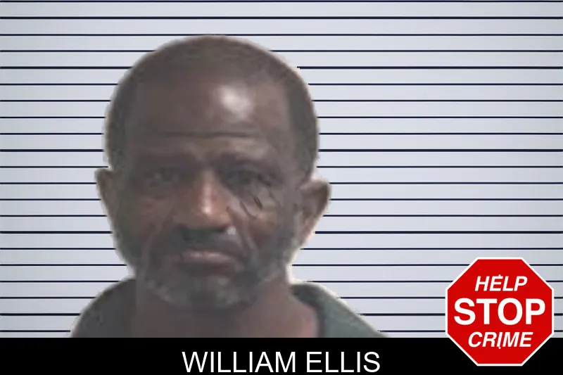 William Ellis mugshot – Henry County , Georgia William Ellis mugshot