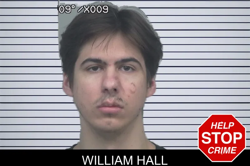 William Hall mugshot – Gwinnett County , Georgia William Hall mugshot