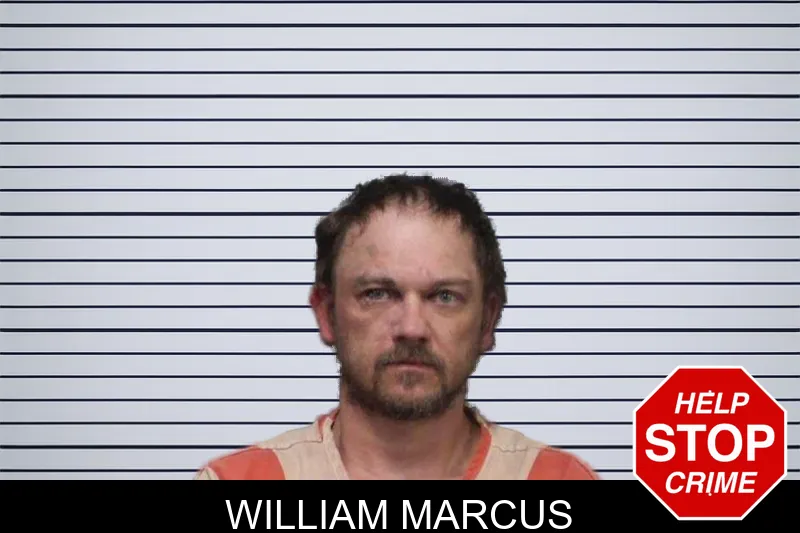 William Marcus mugshot – White County , Georgia William Marcus mugshot