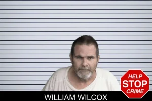 William Wilcox mugshot