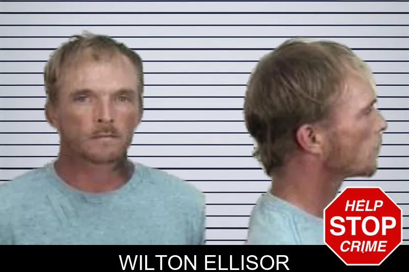 Wilton Ellisor mugshot