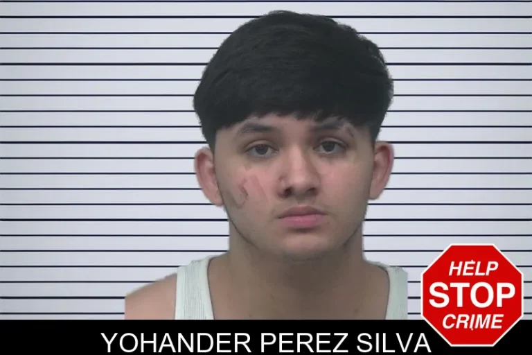 Yohander Perez Silva