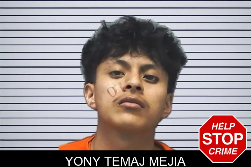 Yony Temaj Mejia mugshot