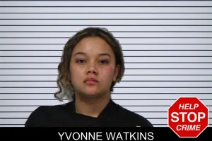 Yvonne Watkins mugshot