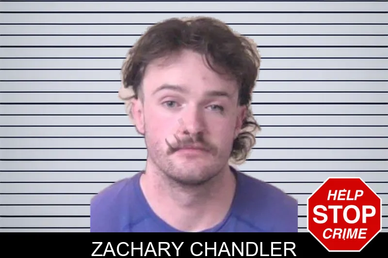 Zachary Chandler mugshot – Walker County , Georgia Zachary Chandler mugshot