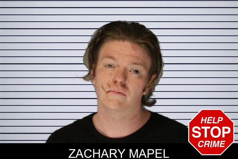 Zachary Mapel mugshot