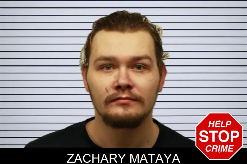 Zachary Mataya mugshot