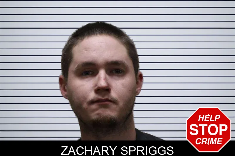Zachary Spriggs mugshot – Haralson County , Georgia Zachary Spriggs mugshot