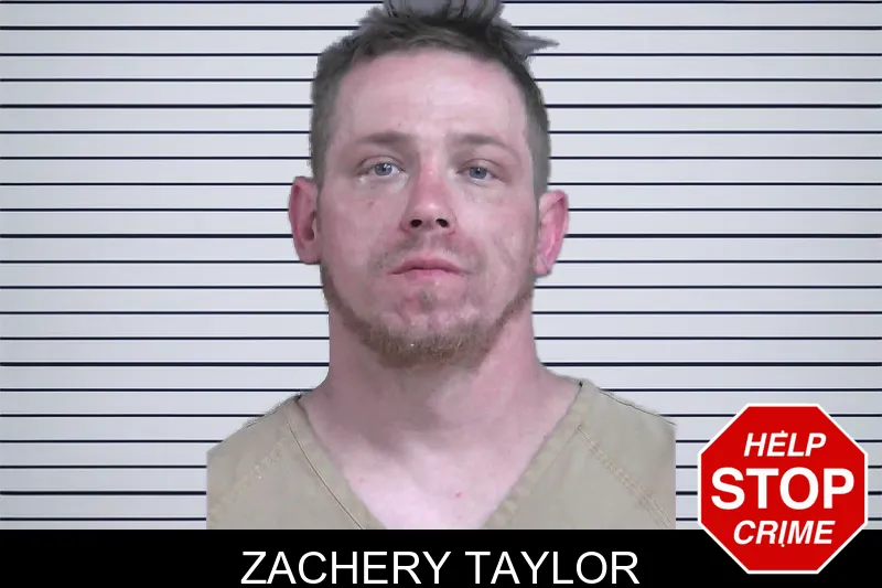 Zachery Taylor mugshot
