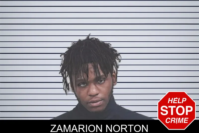 Zamarion Norton mugshot – Lowndes County , Georgia Zamarion Norton mugshot