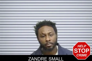 Zandre Small mugshot
