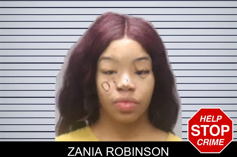 Zania Robinson mugshot
