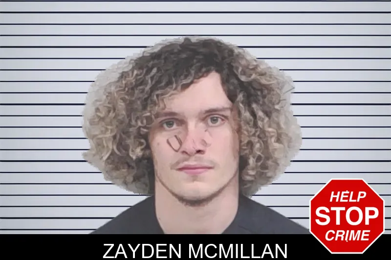 Zayden McMillan mugshot – Lowndes County , Georgia Zayden McMillan mugshot