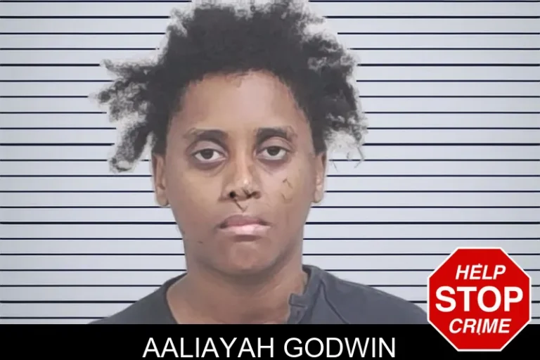 Aaliayah Godwin mugshot – Lowndes County , Georgia Aaliayah Godwin