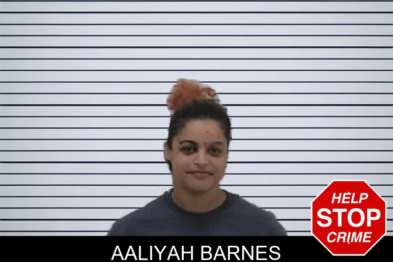 Aaliyah Barnes mugshot – Coffee County , Georgia Aaliyah Barnes mugshot