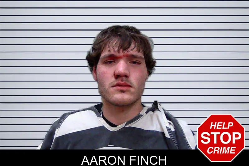 Aaron Finch mugshot