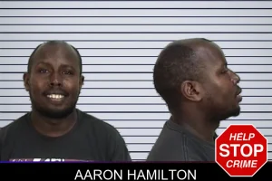 Aaron Hamilton mugshot