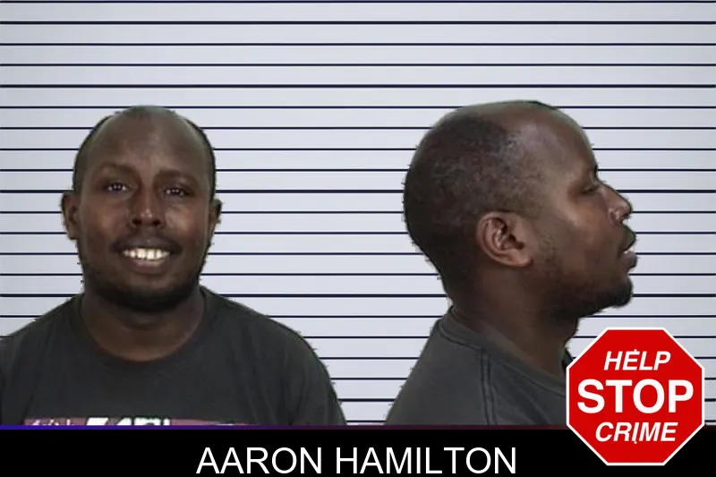 Aaron Hamilton mugshot