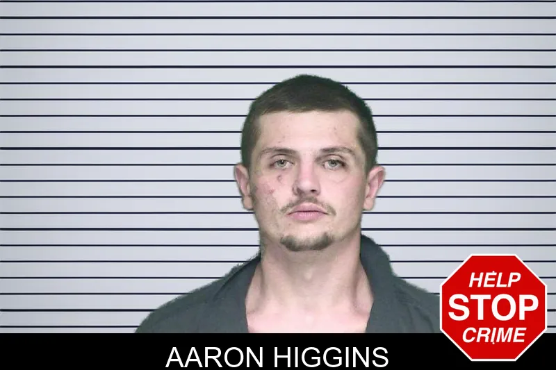 Aaron Higgins mugshot
