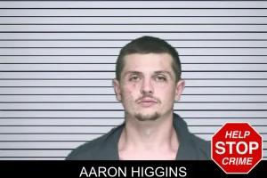 Aaron Higgins mugshot