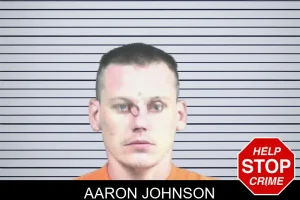 Aaron Johnson mugshot