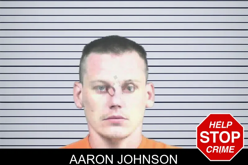 Aaron Johnson mugshot
