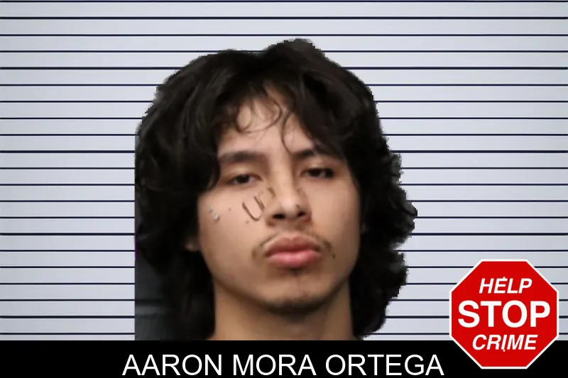 Aaron Mora Ortega mugshot