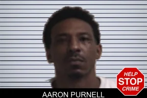 Aaron Purnell mugshot