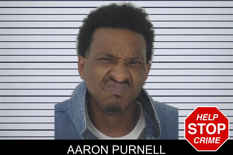 Aaron Purnell mugshot