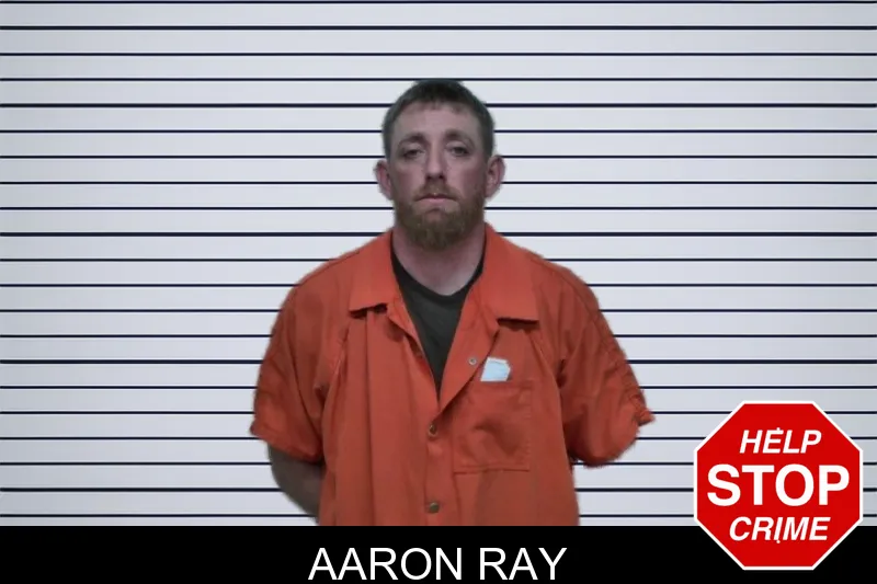 Aaron Ray mugshot