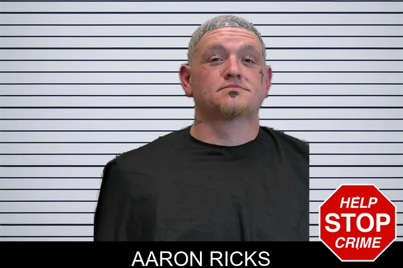 Aaron Ricks mugshot
