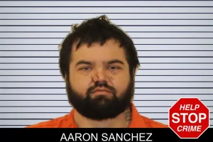 Aaron Sanchez mugshot
