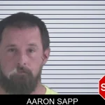 Aaron Sapp mugshot – Brantley County , Georgia Aaron Sapp mugshot