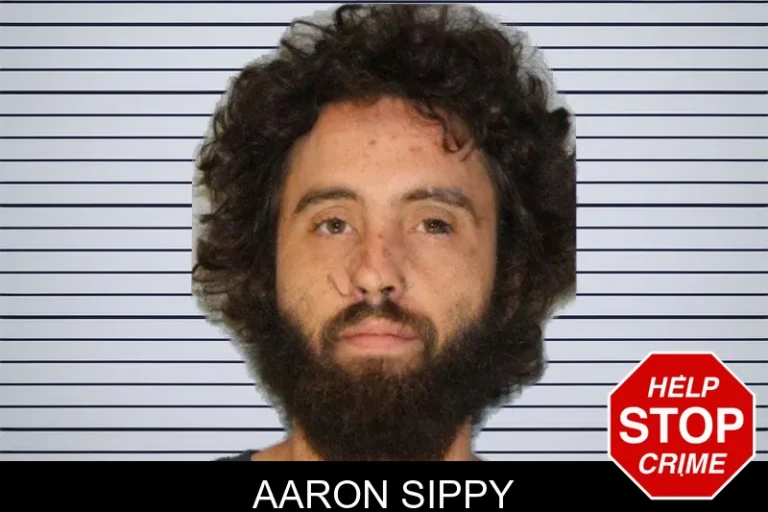 Aaron Sippy