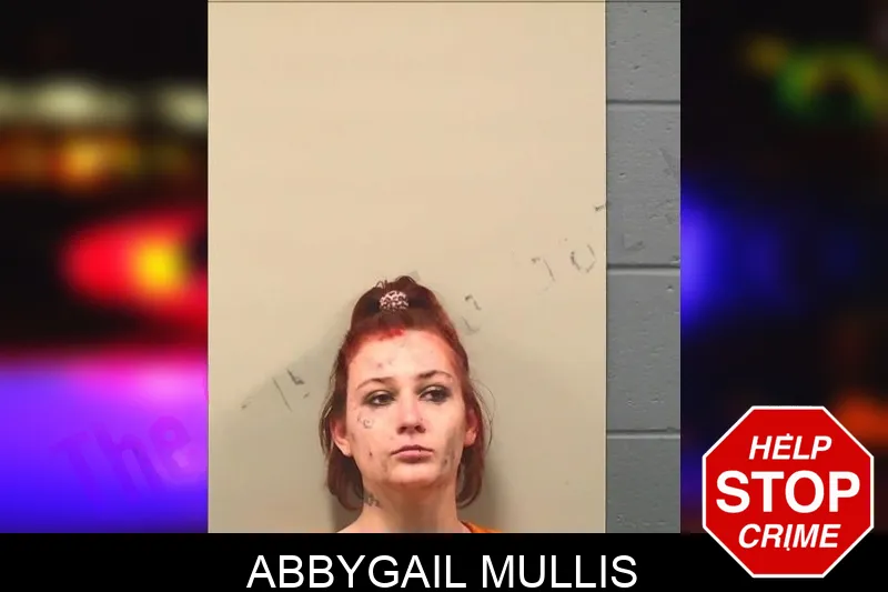 Abbygail Mullis mugshot