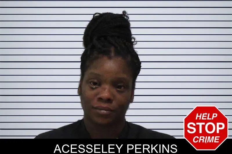 Acesseley Perkins mugshot