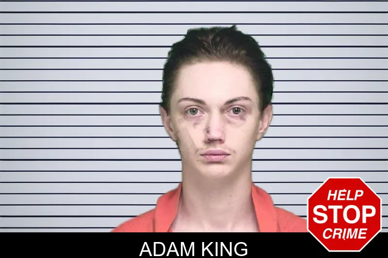 Adam King mugshot