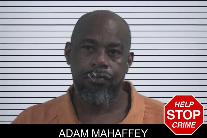 Adam Mahaffey mugshot – McDuffie County , Georgia Adam Mahaffey mugshot