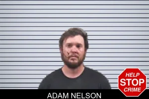 Adam Nelson mugshot