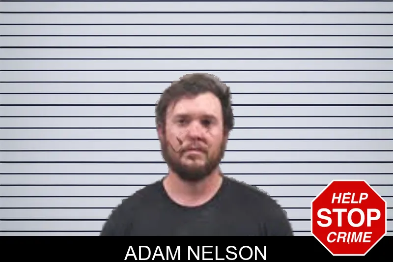 Adam Nelson mugshot – Banks County , Georgia Adam Nelson mugshot