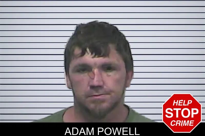 Adam Powell mugshot