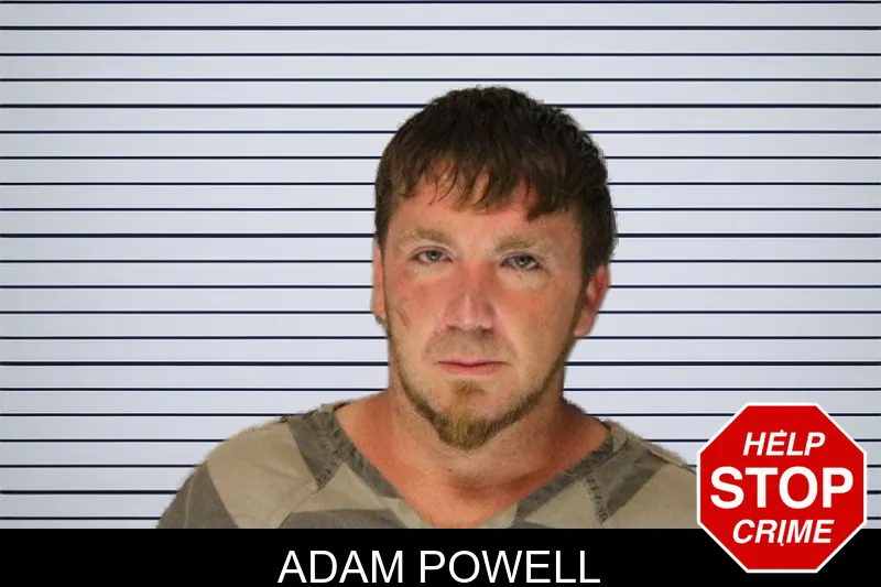 Adam Powell mugshot