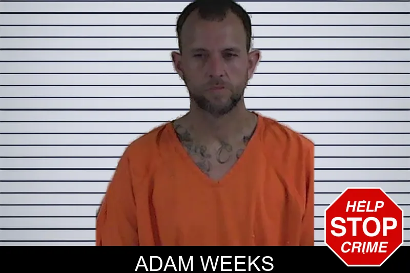 Adam Weeks mugshot